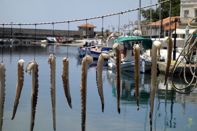 Zanim pójdą na grila muszą się trochę podsuszyć